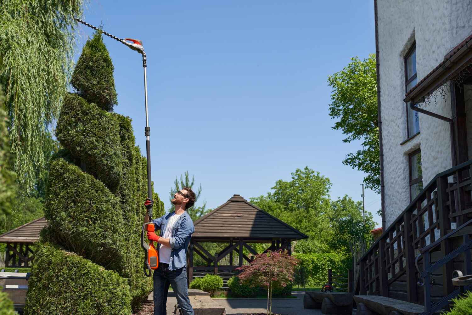 Best Affordable Tree Service  in Crystal River, FL